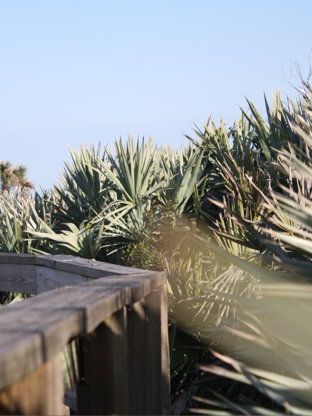 Meet your Posher, Aliyah